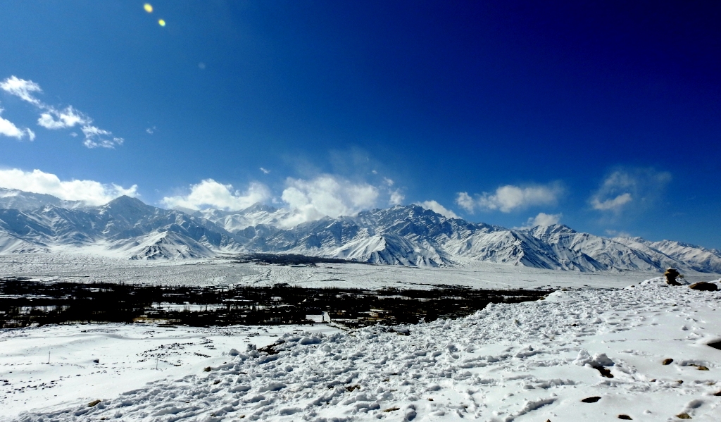 Winter in Ladakh is popular for spotting snow leopard and other rare wildlife and birds of Ladakh. When the snowline falls to lower valleys, good chances of spotting snow leopard is great.
