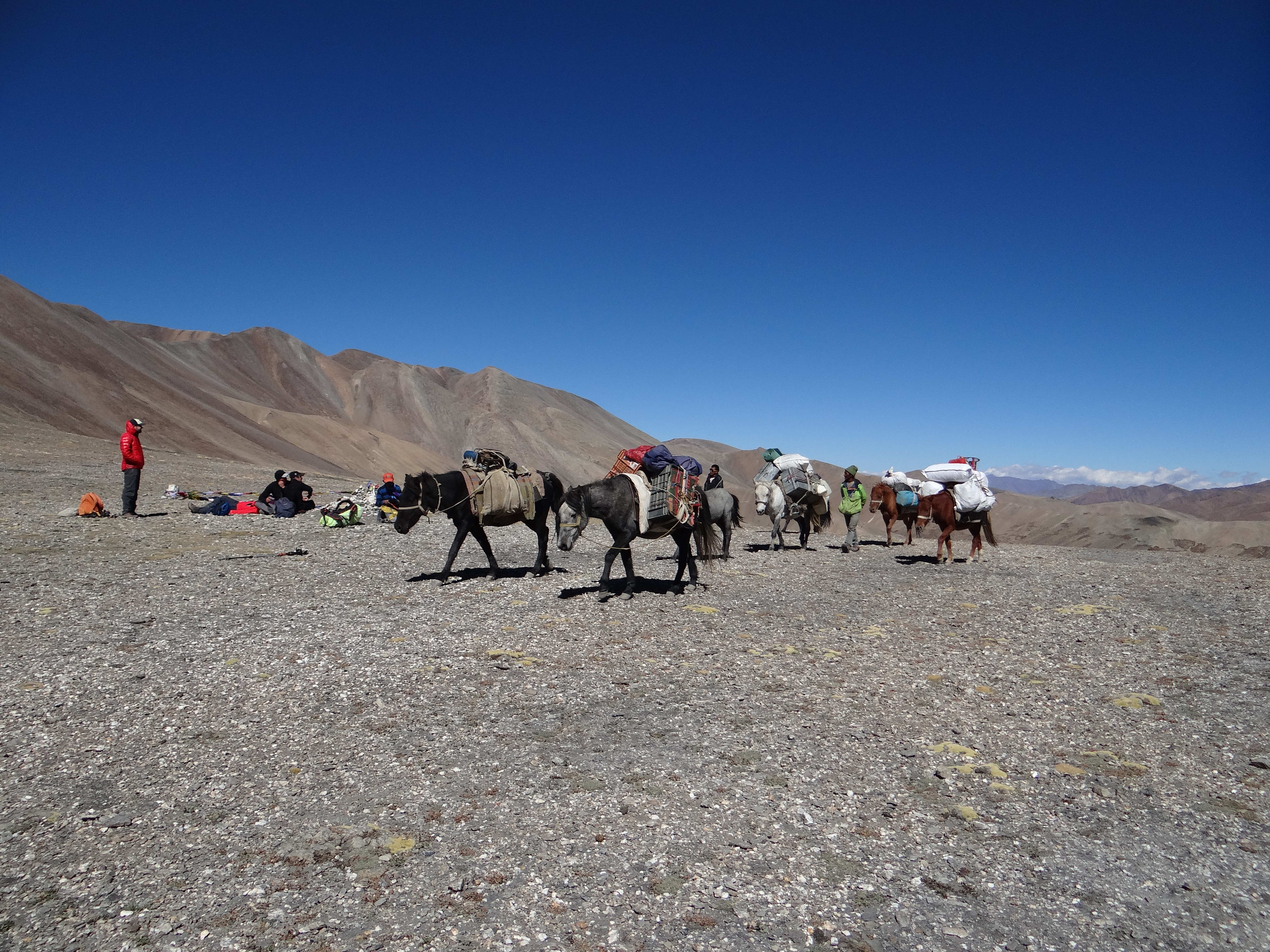 Jingchen to Chilling Mini Markha Valley Trek